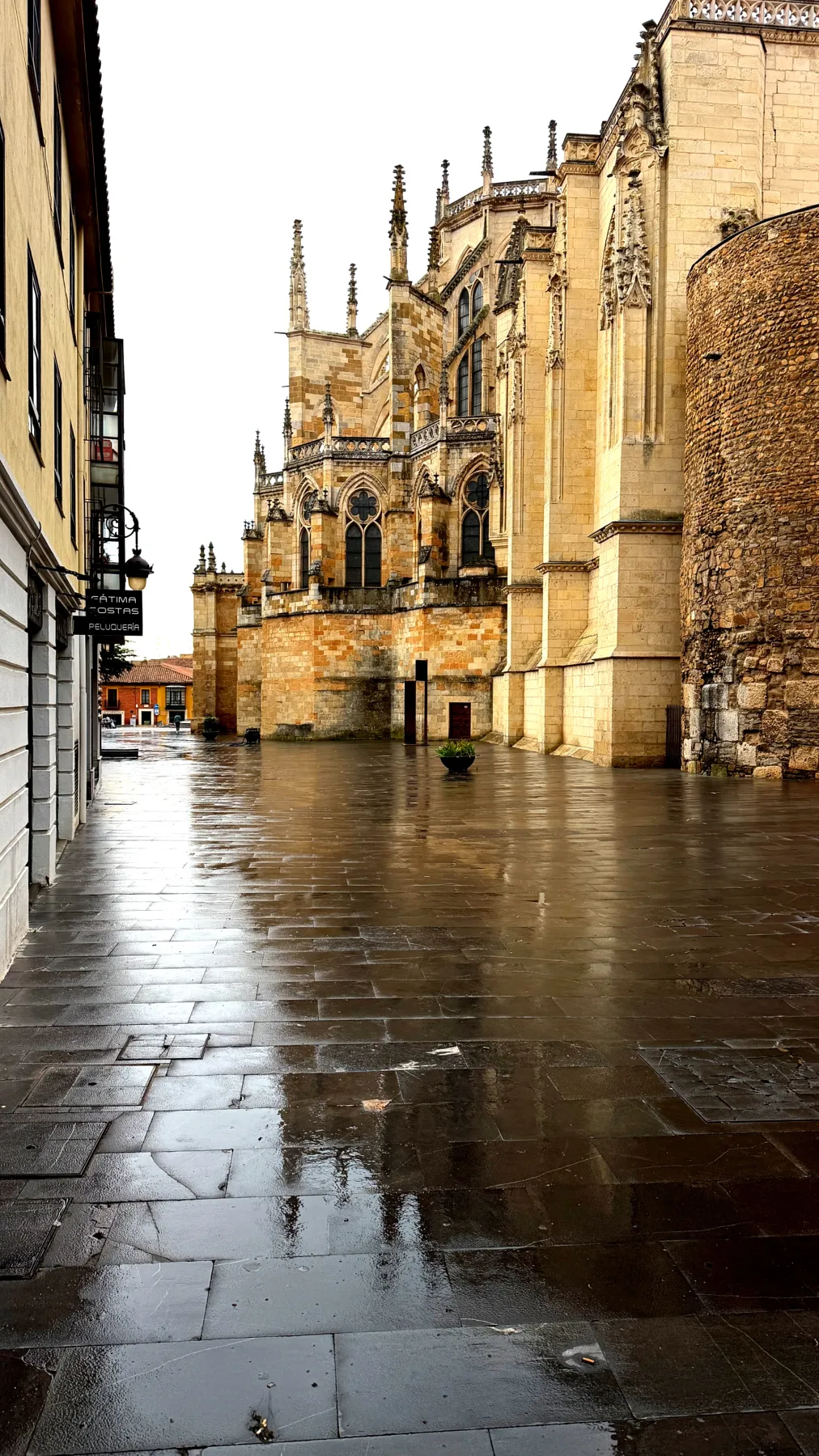 Zona trasera de la catedral de León.